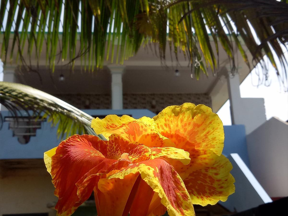 Githmini Beach House And Toures ฮิกคาดูวา ภายนอก รูปภาพ